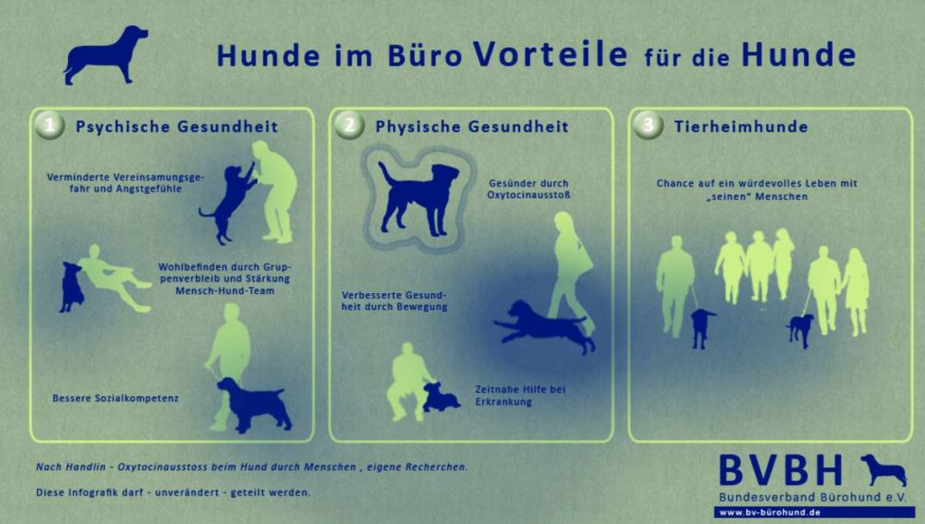 Buerohunde-4a-Vorteile-Hunde