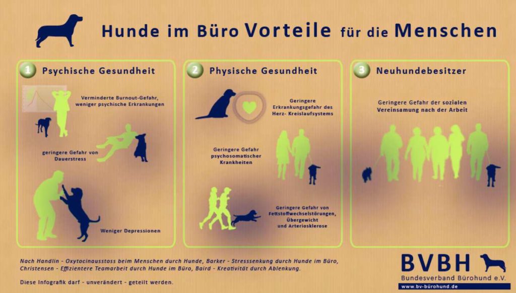 Buerohunde-4a-Vorteile-Menschen