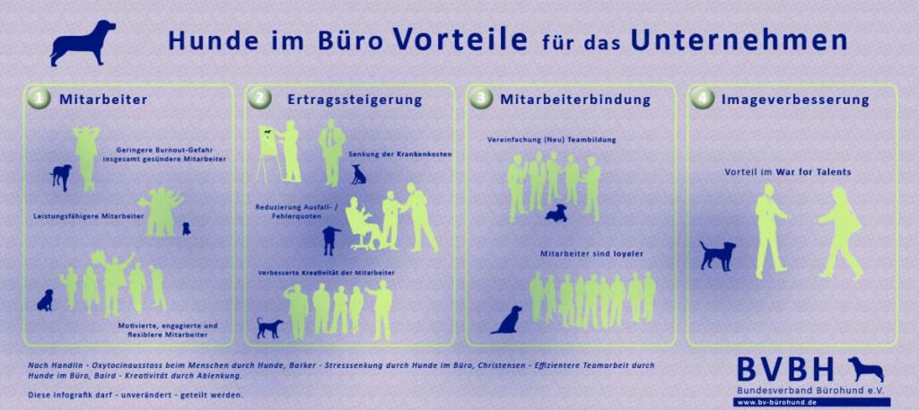 Buerohunde-4a1-Vorteile-Unte