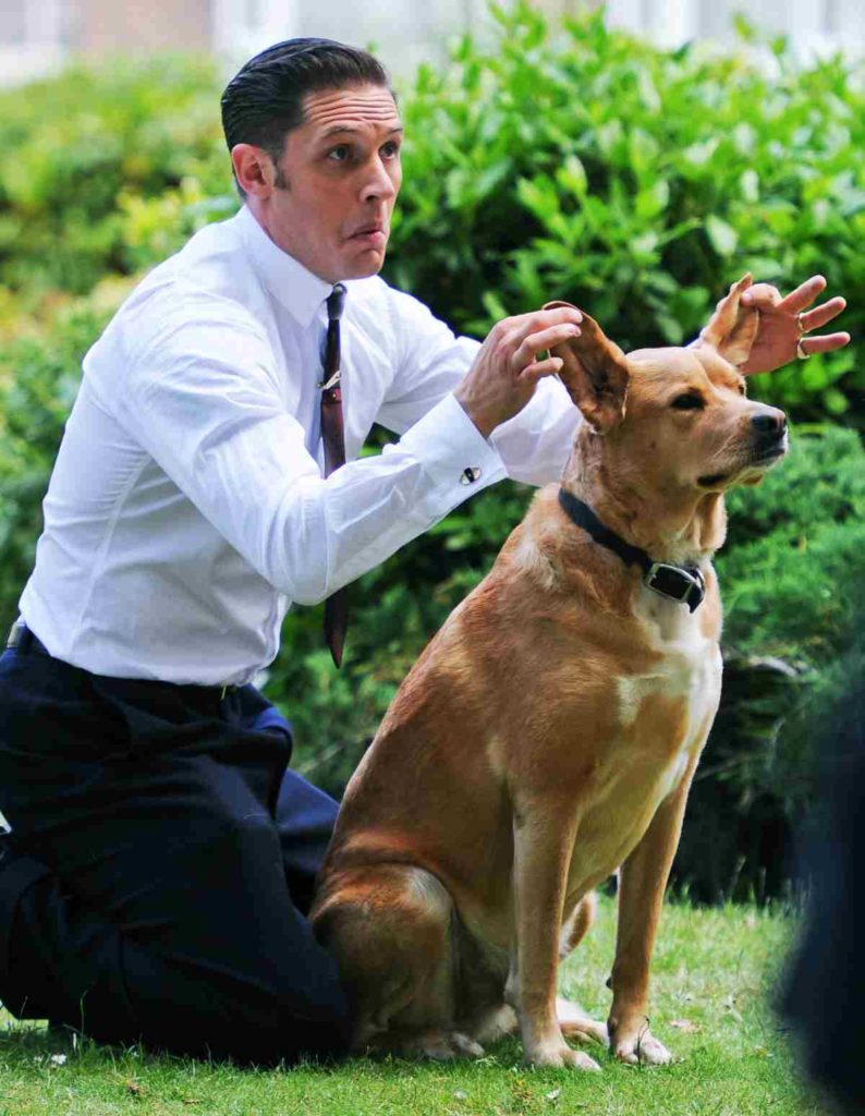 Tom Hardy mit Adoptivhund Woodstock