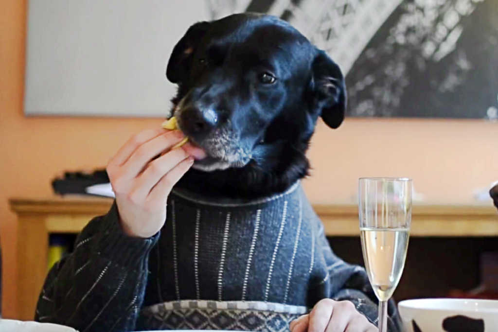 Gordon und sein Hund Birdy- Freundschaft seit 15 Jahren