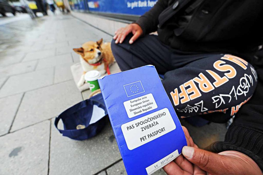 Der Obdachlose und sein Hund