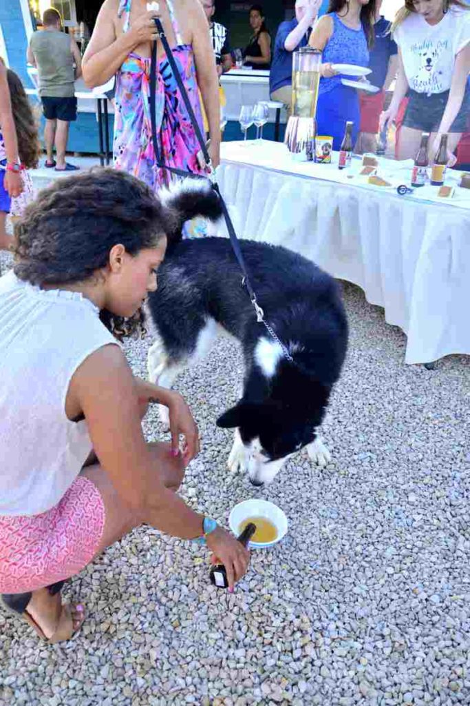 Eröffnung von Monty's dog Hundestrand und Bar