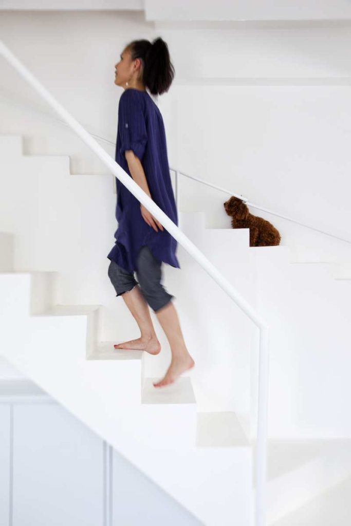 Kein Treppenwitz: Junger Designer baut Hundetreppe