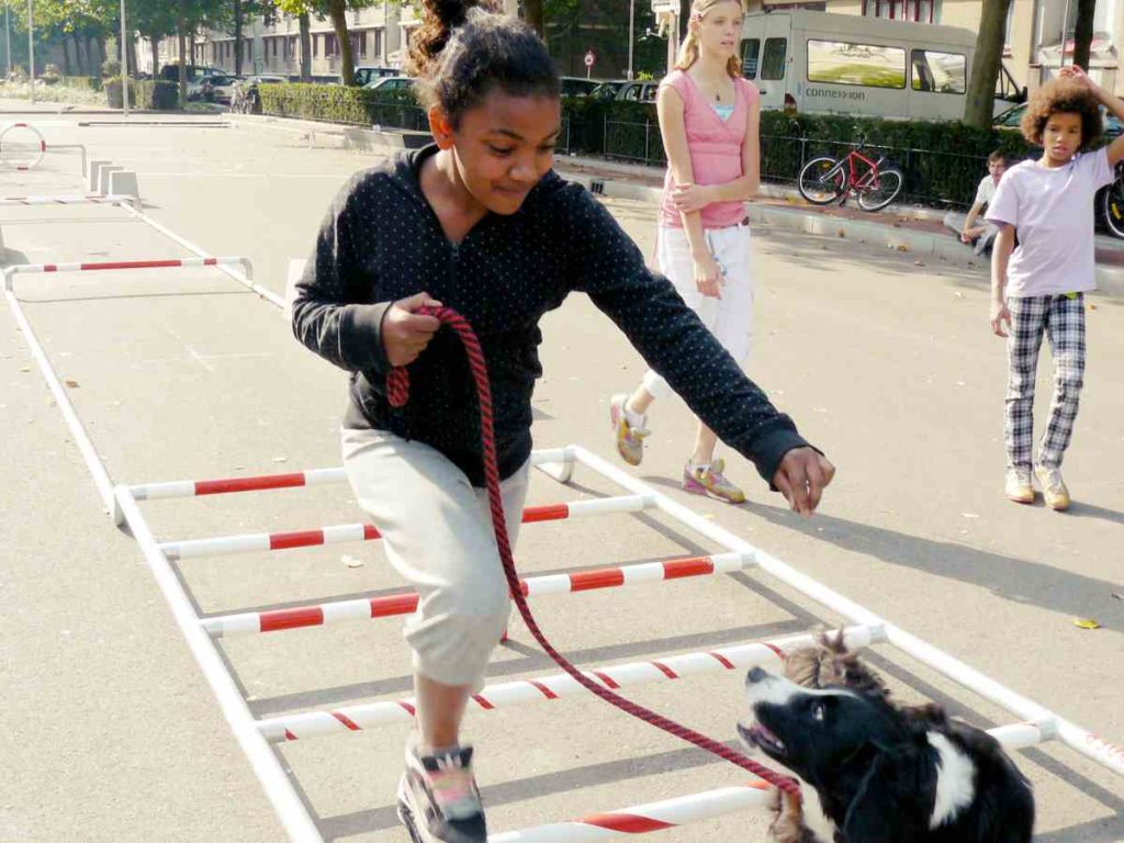 City Dog Adventures: Ein Abenteuerspielplatz für den urbanen Hund