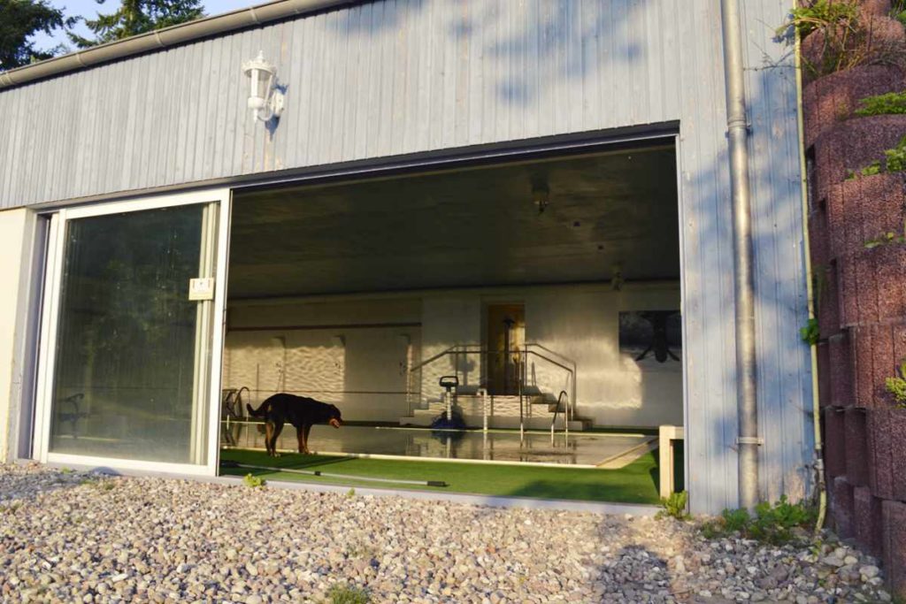 Urlaub mit Hund: Ferienhaus am See -wo Wasserratten glücklich werden