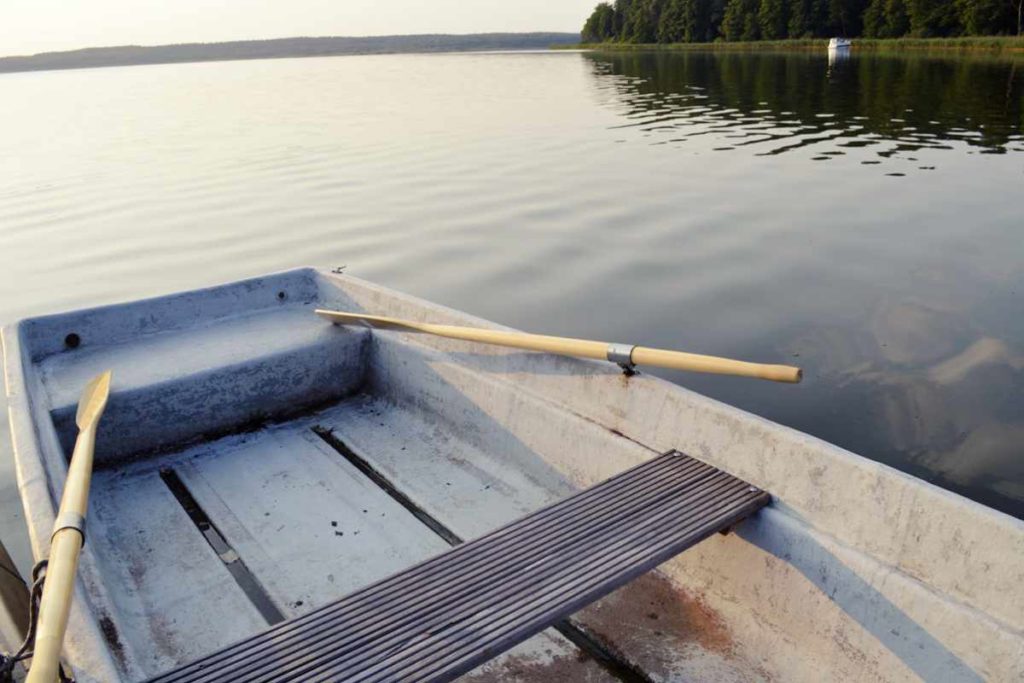 Urlaub mit Hund: Ferienhaus am See -wo Wasserratten glücklich werden