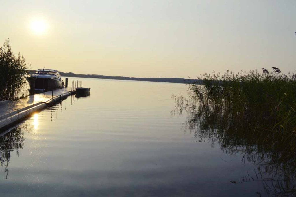 Urlaub mit Hund: Ferienhaus am See -wo Wasserratten glücklich werden