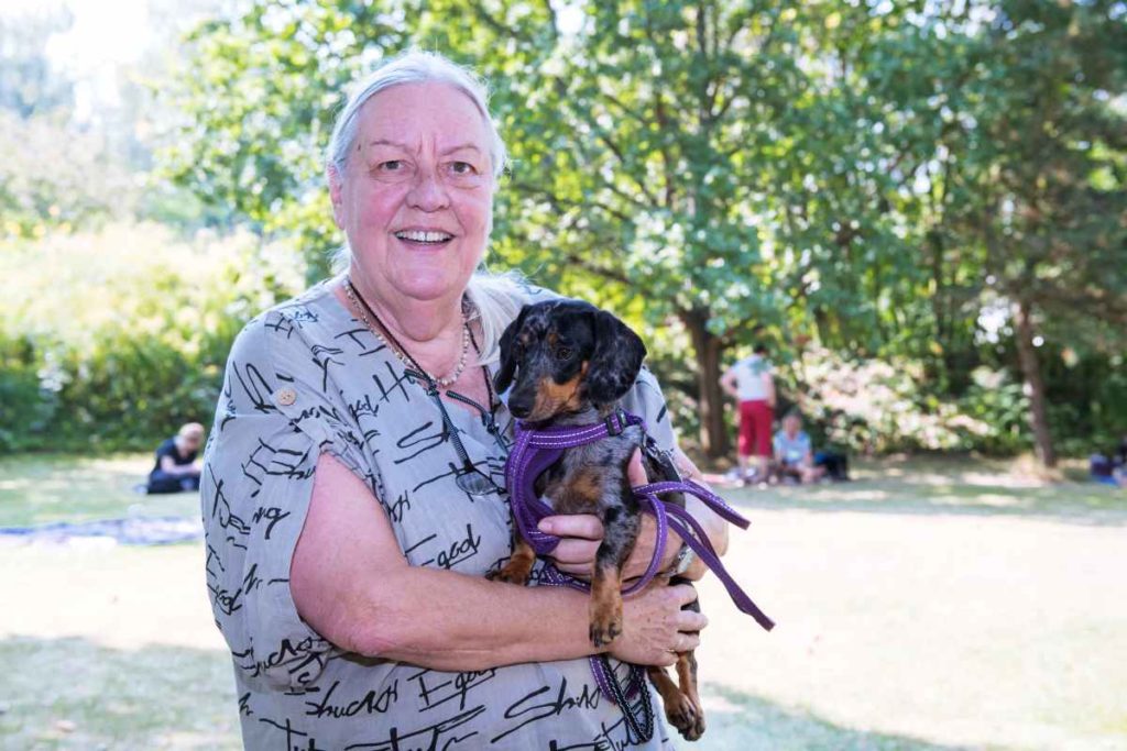 Kurzbeinig ins Ziel: Dackelrennen sind Spaß für Hund und Herrchen