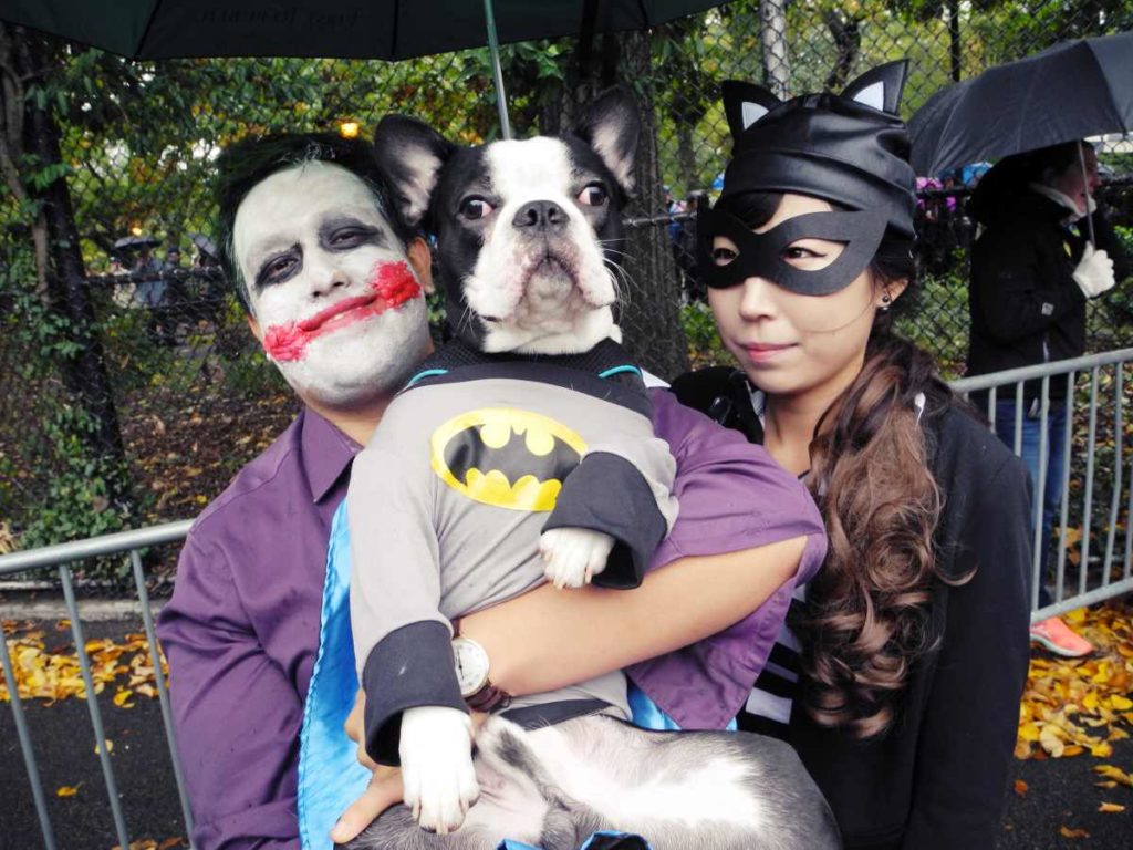 Tompkins Square Park: Das groesste Halloween-Kostuemfest fuer Hunde