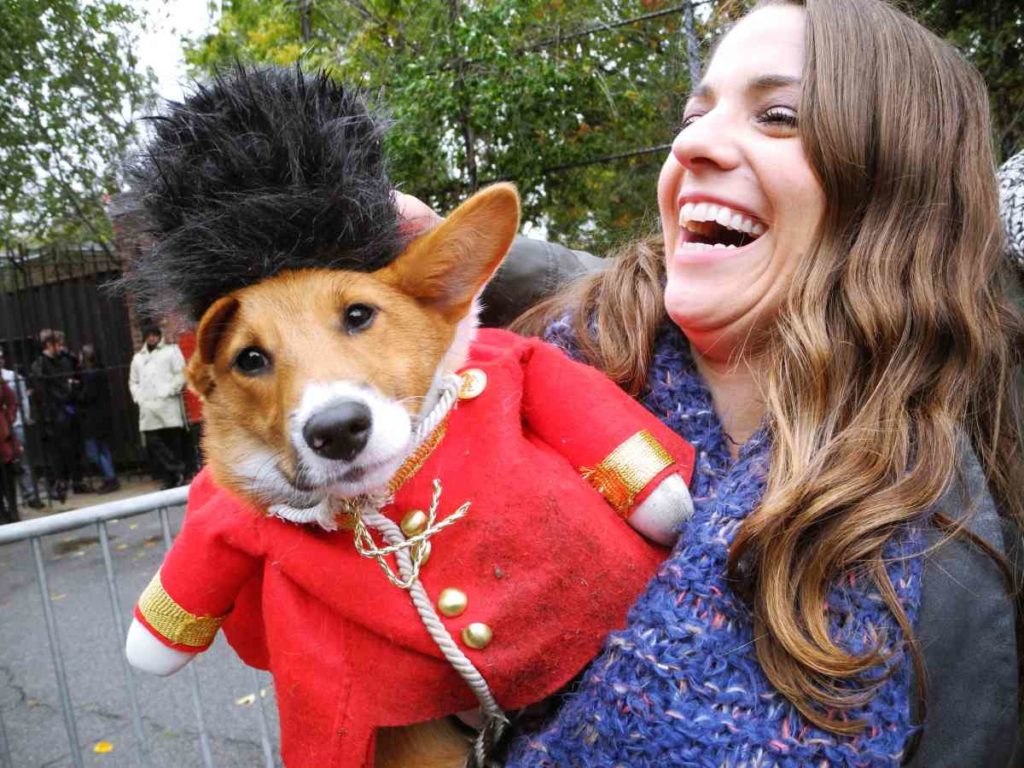 New Yorker zeigen kostümierte Hunde zu Halloween