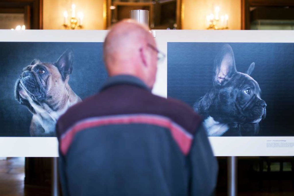 Cartoonist Uli Stein zeigt Hunde-Portraits im Jagdschloss Springe