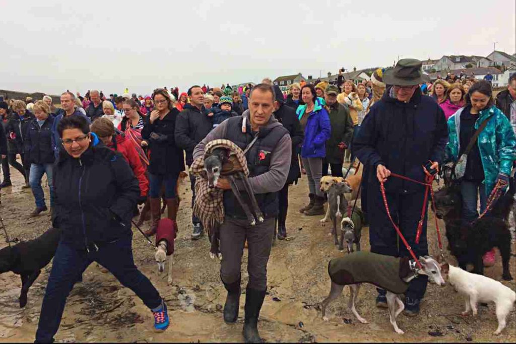 Hunderte gingen mit Whippet Walnut zum letzten Mal Gassi am Strand