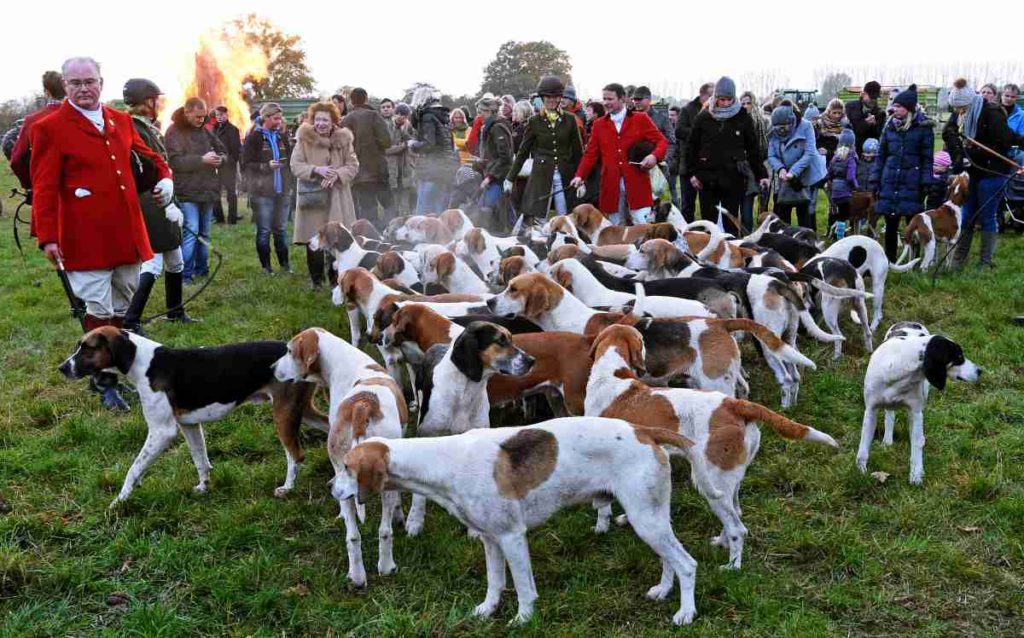 Reiter und Hunde auf Schleppjagd in der Region Hannover