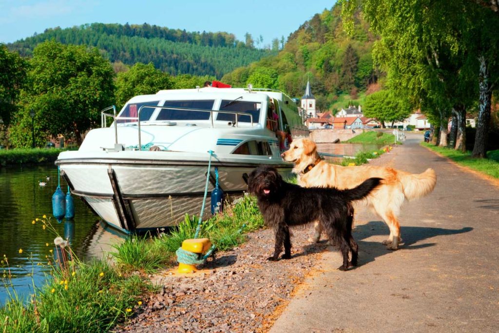 Hausbooturlaub mit Hund