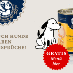 banner_gratis_probe_dogs_ansprueche_animiert_300x250