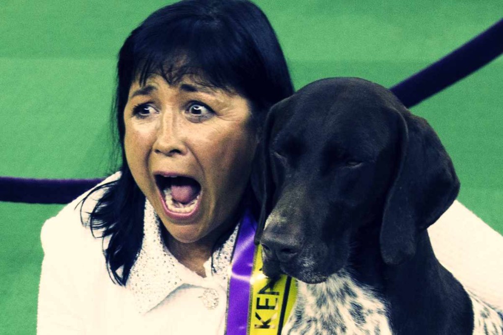 Whaaaaat….!!????? 2016 Westminster Kennel Club Dog Show