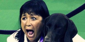 Whaaaaat….!!????? 2016 Westminster Kennel Club Dog Show