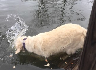 Bitte Ruhe. Bin gerade beim fischen!