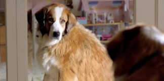 Super Bowl 2012: Volkswagen The Dog Strikes Back