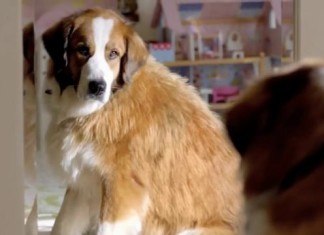 Super Bowl 2012: Volkswagen The Dog Strikes Back