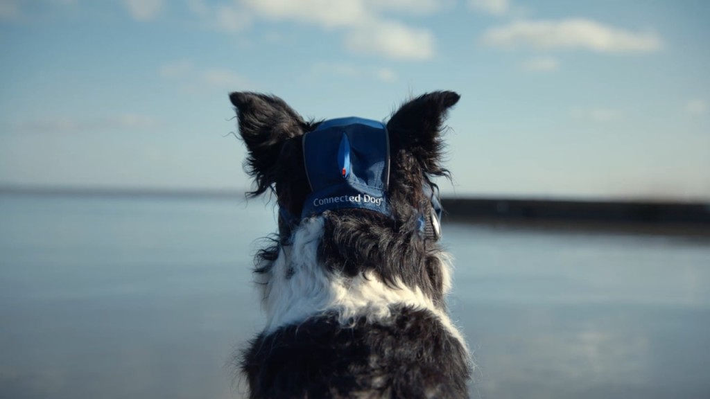 Volkswagen - The Connected Dog - Gassi gehen der Zukunft