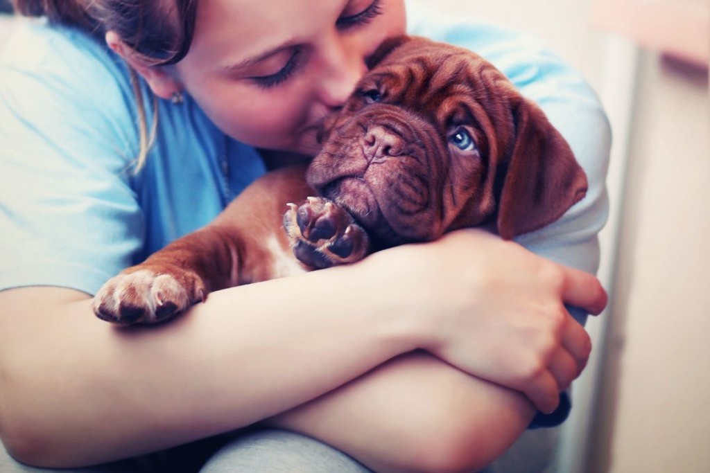 Augen auf beim Welpenkauf – Hundeeltern