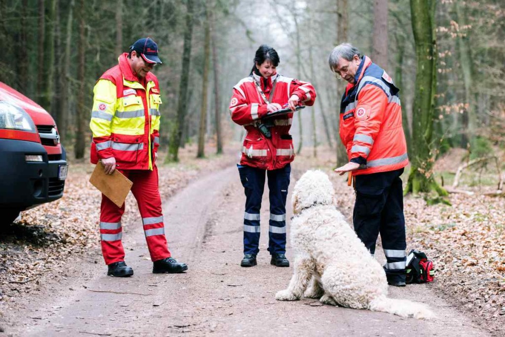 29 Rettungshunde und Hundeführer legen Prüfungen ab