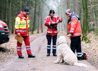 29 Rettungshunde und Hundeführer legen Prüfungen ab