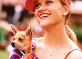 Reese Witherspoon trauert um vierbeinigen Filmstar „Bruiser“