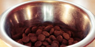 Trockenfutter bei der Hundeernährung