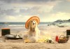 Happy Dog Lolita - Der neue Werbespot von Happy Dog