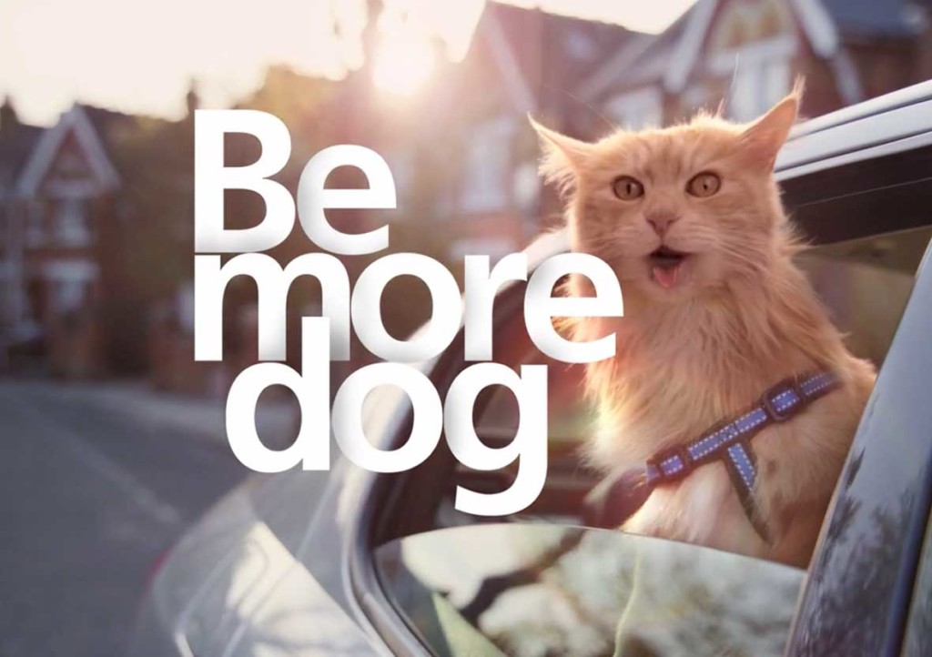 Sei mehr Hund - “Be More Dog”