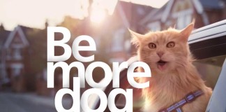 Sei mehr Hund - “Be More Dog”