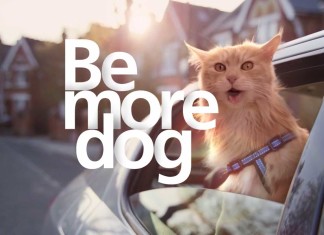 Sei mehr Hund - “Be More Dog”