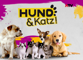 Hund & Katz bei ATV