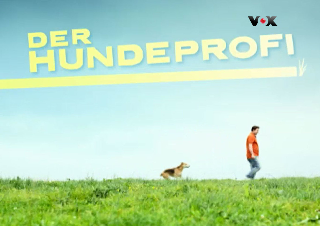 Der Hundeprofi – VOX