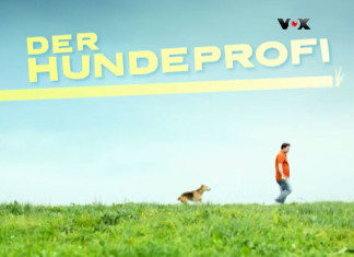 Der Hundeprofi – VOX