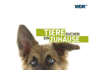 Tiere Suchen Ein Zuhause – WDR