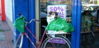 Ein Hundekorb fürs Fahrrad