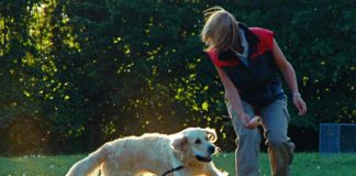 Aufgaben des Hundetrainers