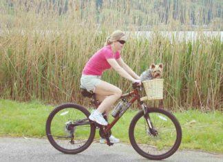 Radtour mit Hund