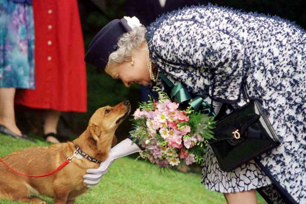 Die ewige Monarchin - Elizabeth II. wird 90