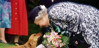 Die ewige Monarchin - Elizabeth II. wird 90