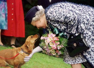 Die ewige Monarchin - Elizabeth II. wird 90