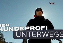 Der Hundeprofi unterwegs bei VOX