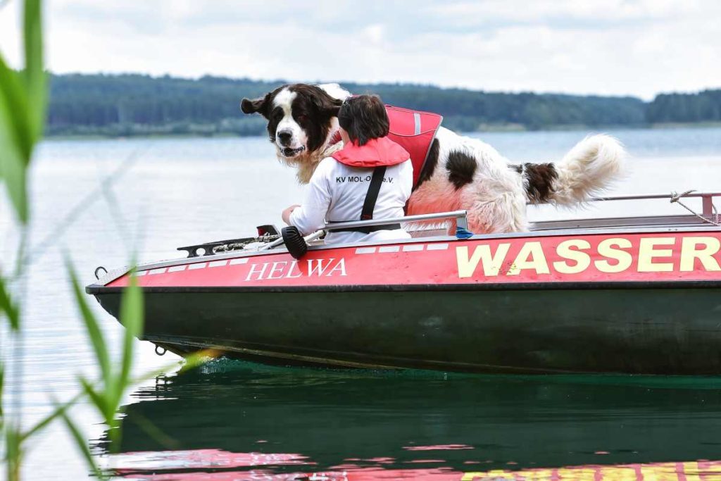 Hundeführerin Nicole Adam vom Deutschen Roten Kreuz (DRK) mit ihrem Wasserortungshund Otis