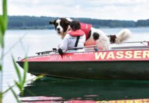 Hundeführerin Nicole Adam vom Deutschen Roten Kreuz (DRK) mit ihrem Wasserortungshund Otis