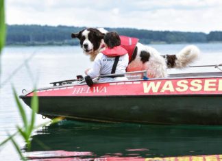 Hundeführerin Nicole Adam vom Deutschen Roten Kreuz (DRK) mit ihrem Wasserortungshund Otis