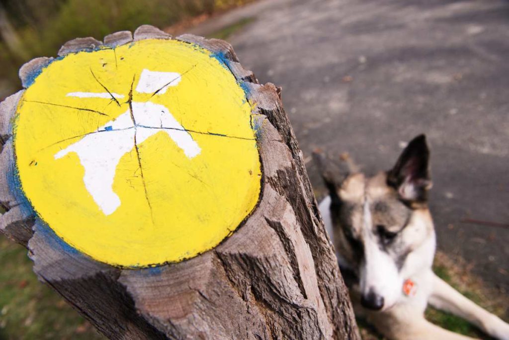 Hundeverbot am Schlachtensee